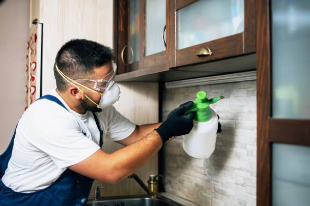 Best Emergency Pest Control  in Sun Valley, PA