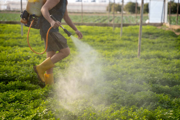 Best Pest Control for Businesses  in Sun Valley, PA