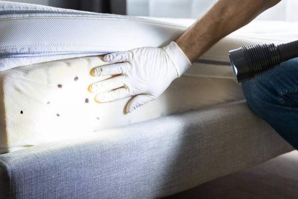 Best Pest Control for Restaurants  in Sun Valley, PA