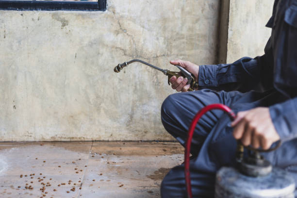 Best Wasp Removal Services  in Sun Valley, PA